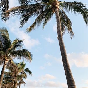 Meet your Posher, Isabella